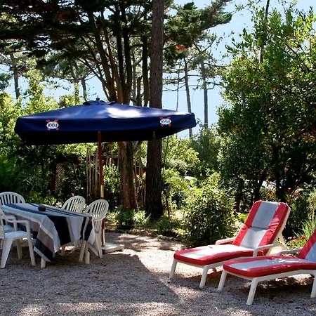 Lovely House With Idyllic Garden In Very Cap Ferret Location * Lege-Cap-Ferret